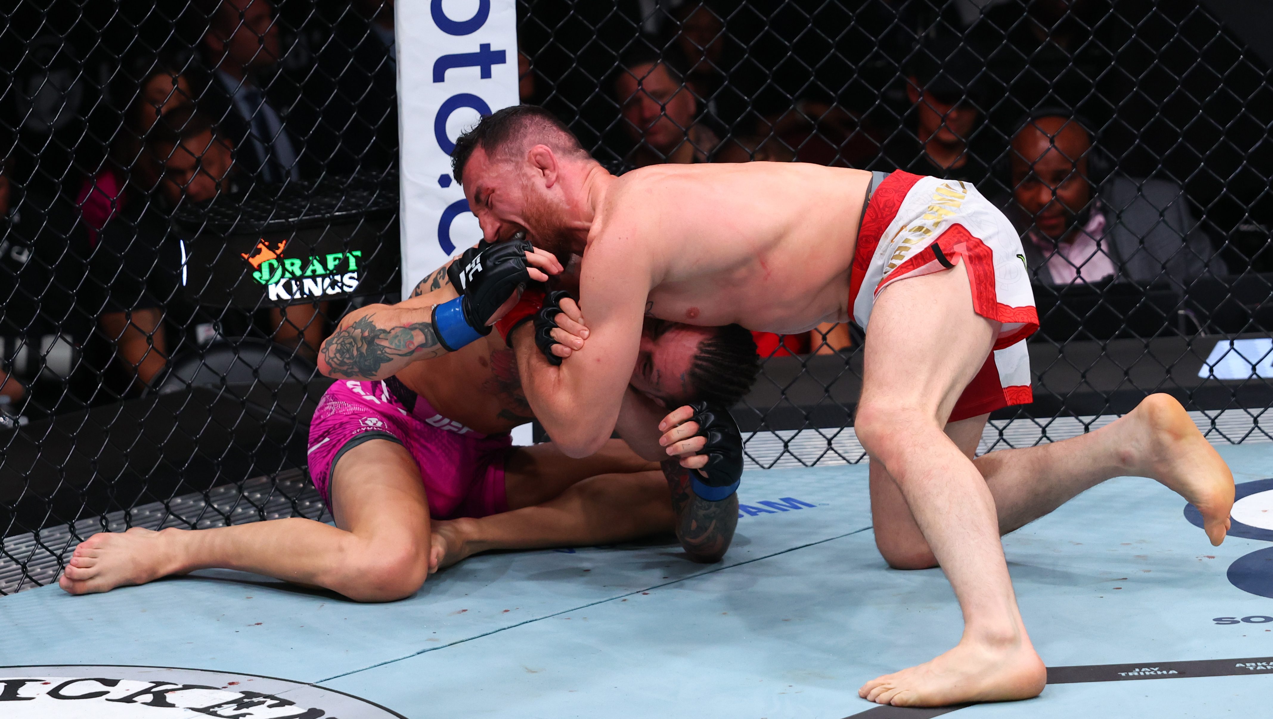 UFC 316 Results: Who Won the MMA Bantamweight Event?