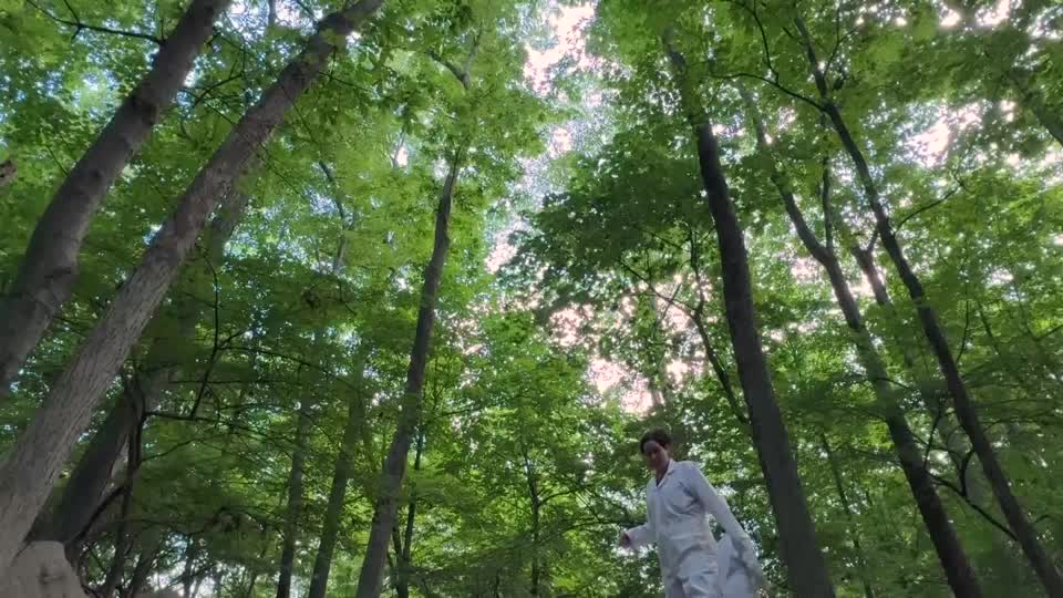 Surge of ticks in US Northeast sets off health concerns