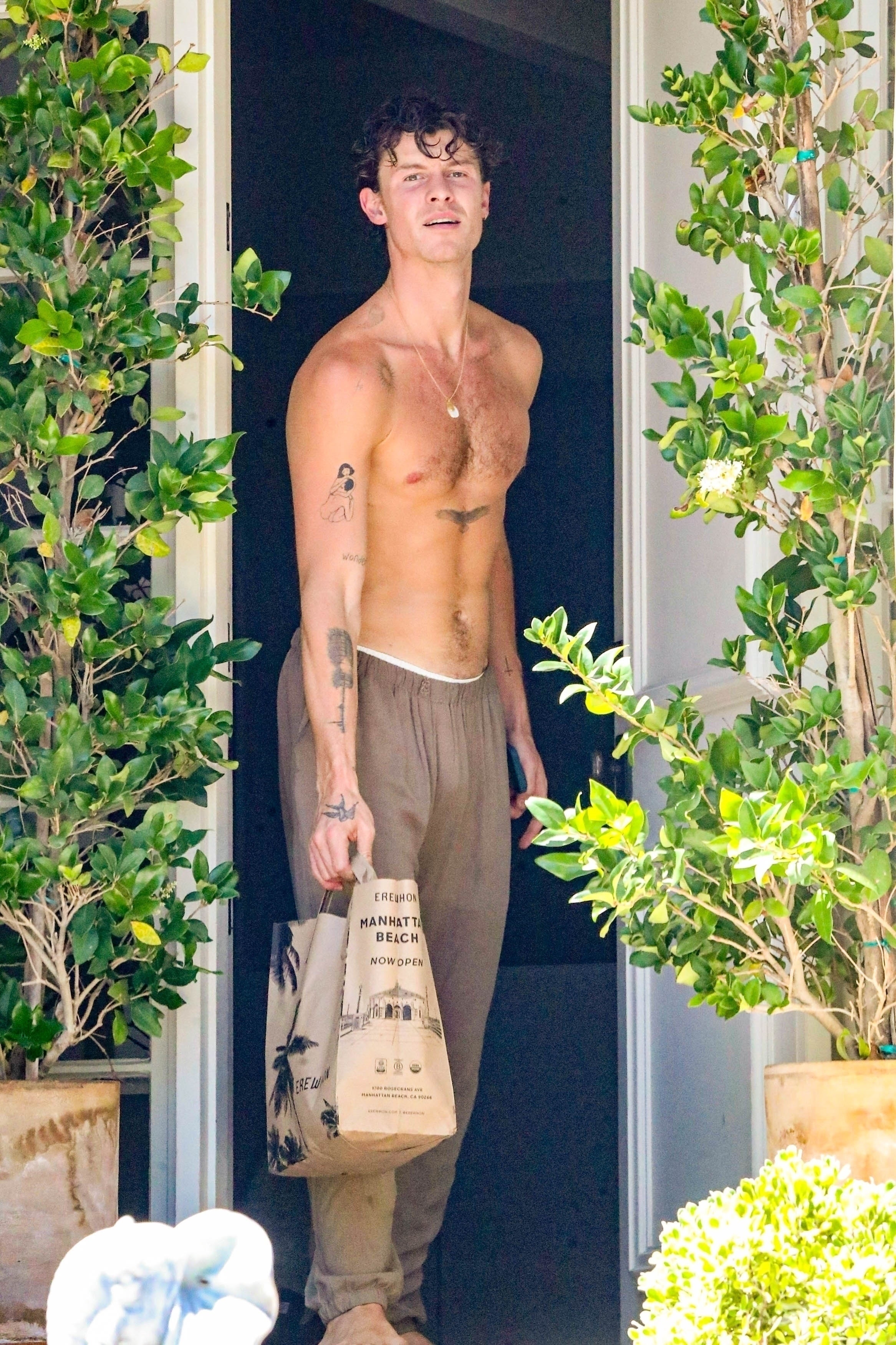 Shirtless Shawn Mendes flaunts his new chest tattoo and more star snaps