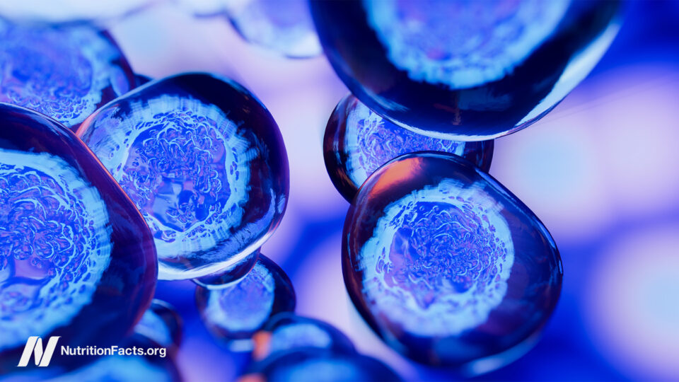 Dietary Components That May Cause Cancer to Metastasize